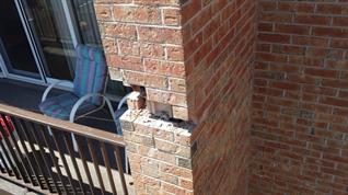 brick, contractor, trenton