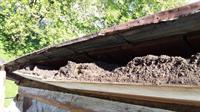 wood work, contractor, historical, campbellford, bats
