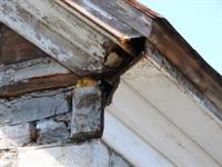 wood work, contractor, historical, campbellford, bats