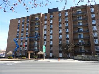 brick, contractor, trenton